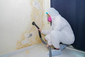 Best Forensic Mold Investigation  in Spencer, OK